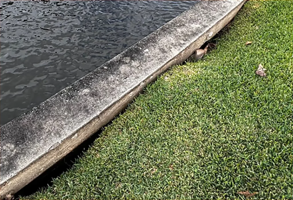 how to spot early damage to keep your seawall repair cost low