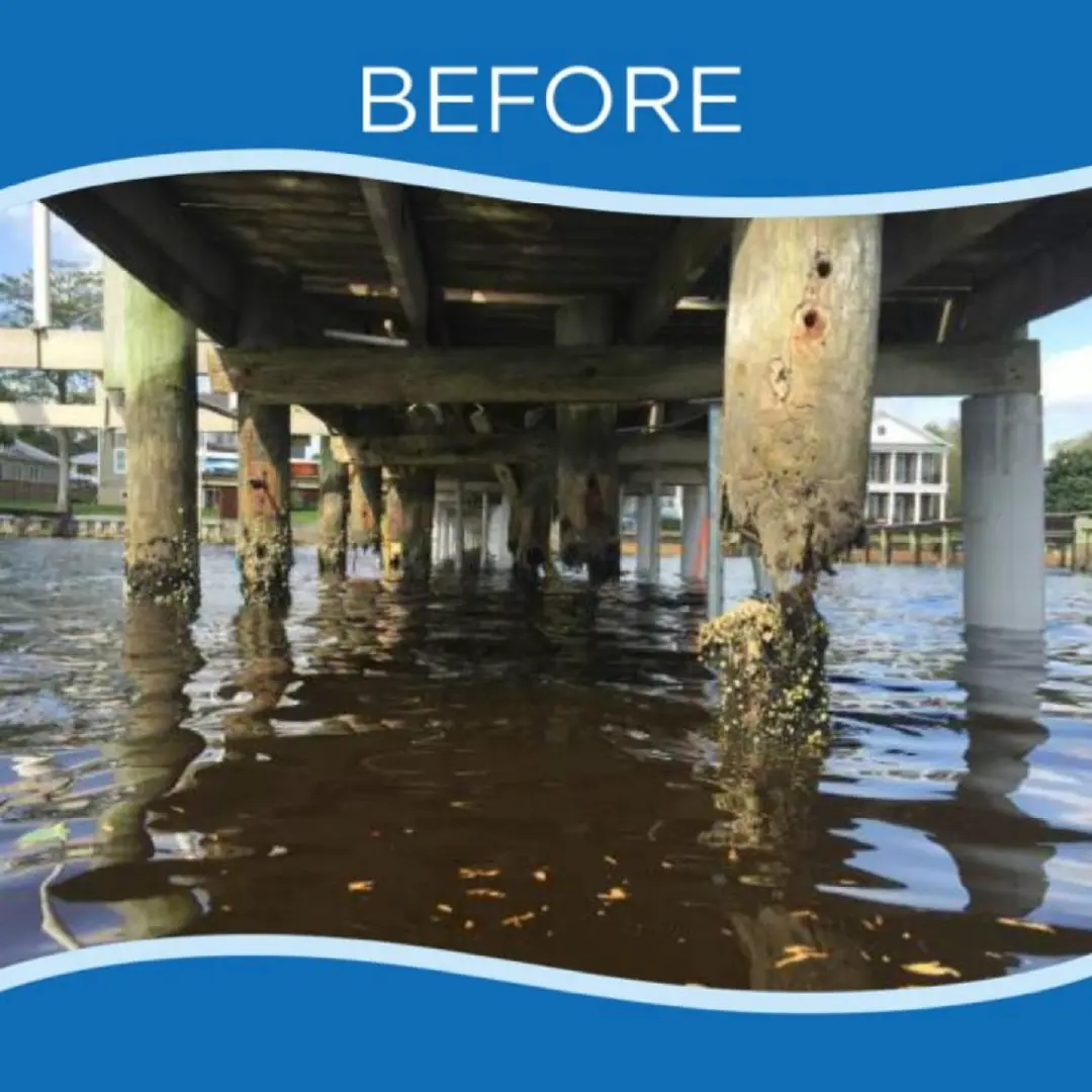 250903_timber_pilings_before